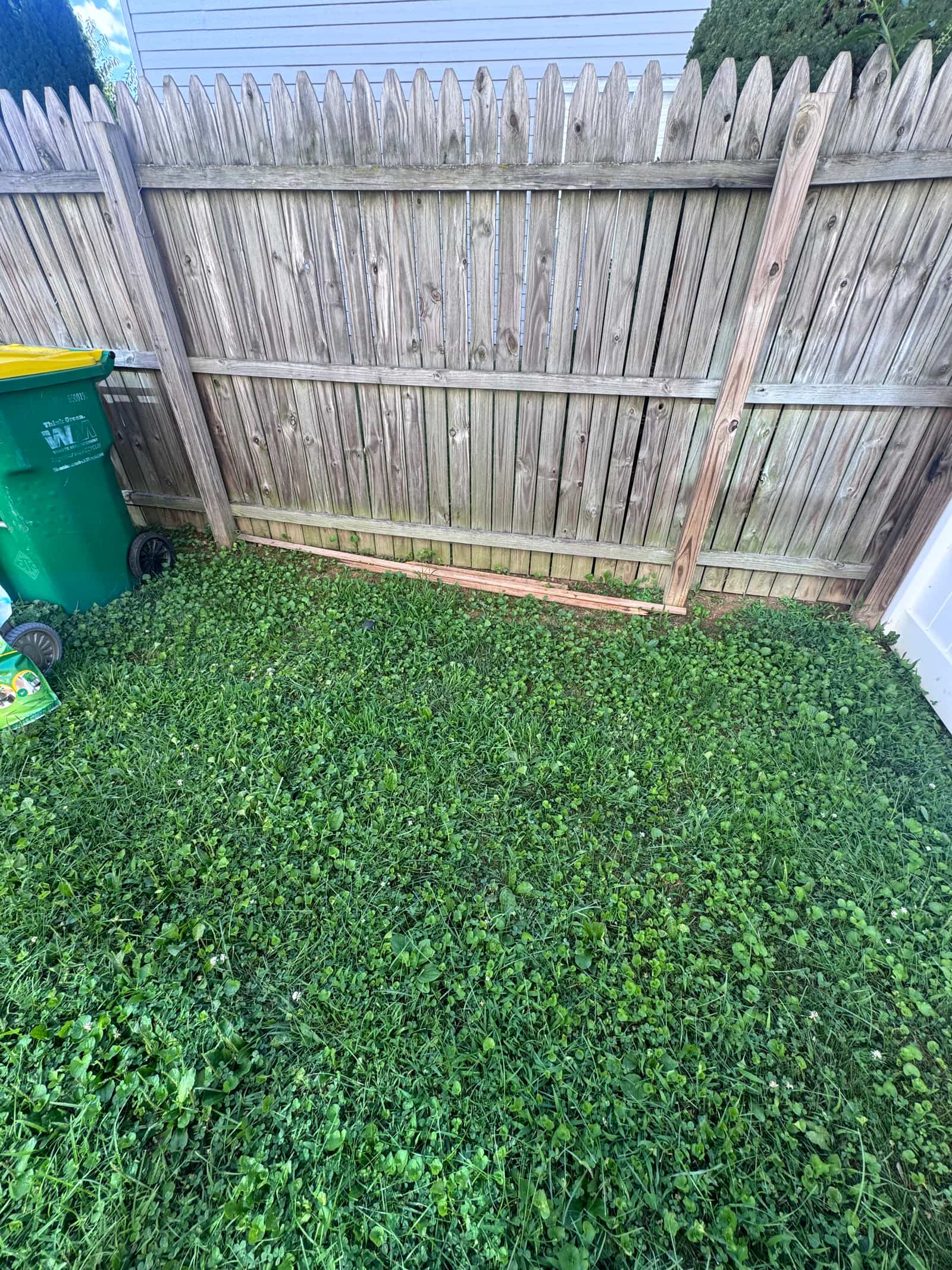 The same Middletown backyard corner cleared to bare grass after junk removal