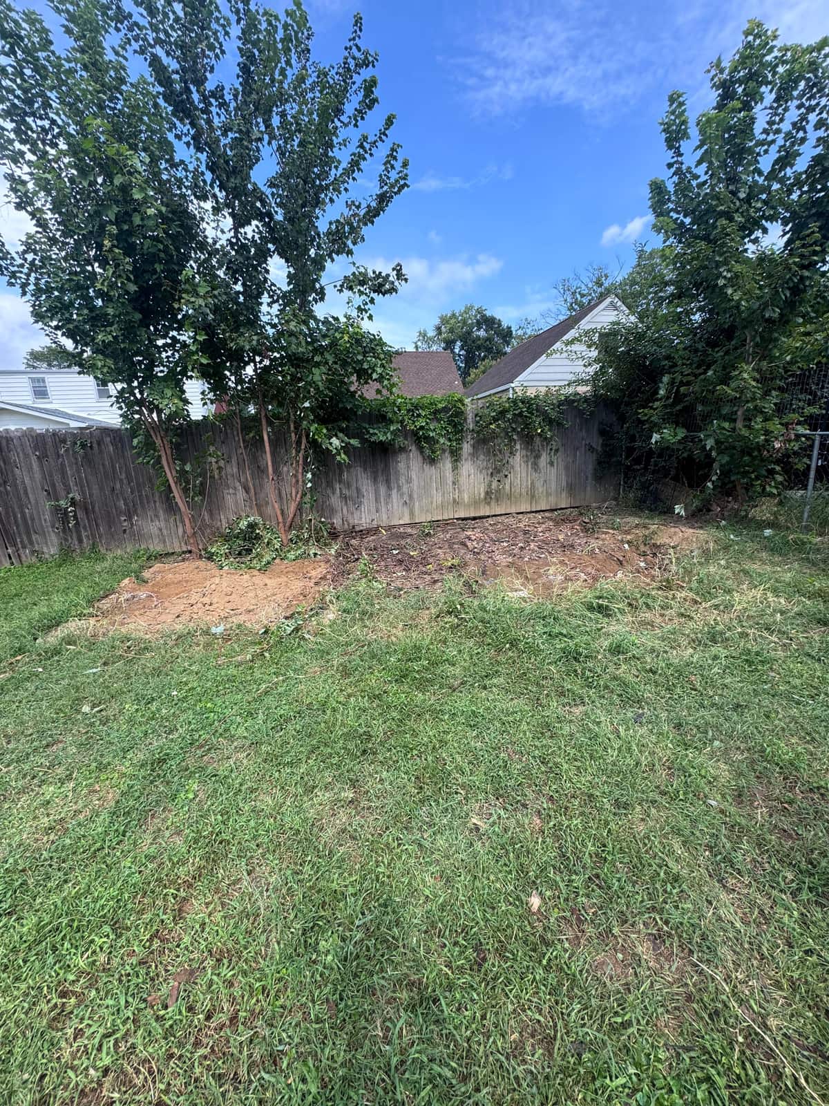 The same Wilmington backyard after both sheds were removed, with bare dirt where they stood and the fence line clear