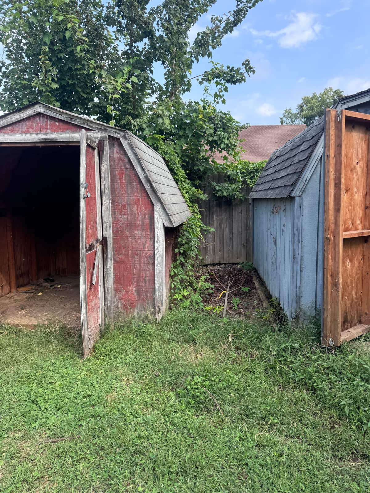 Two wooden backyard sheds in Wilmington before removal, a red barn-style shed with its door open and a blue-gray shed beside it along the fence
