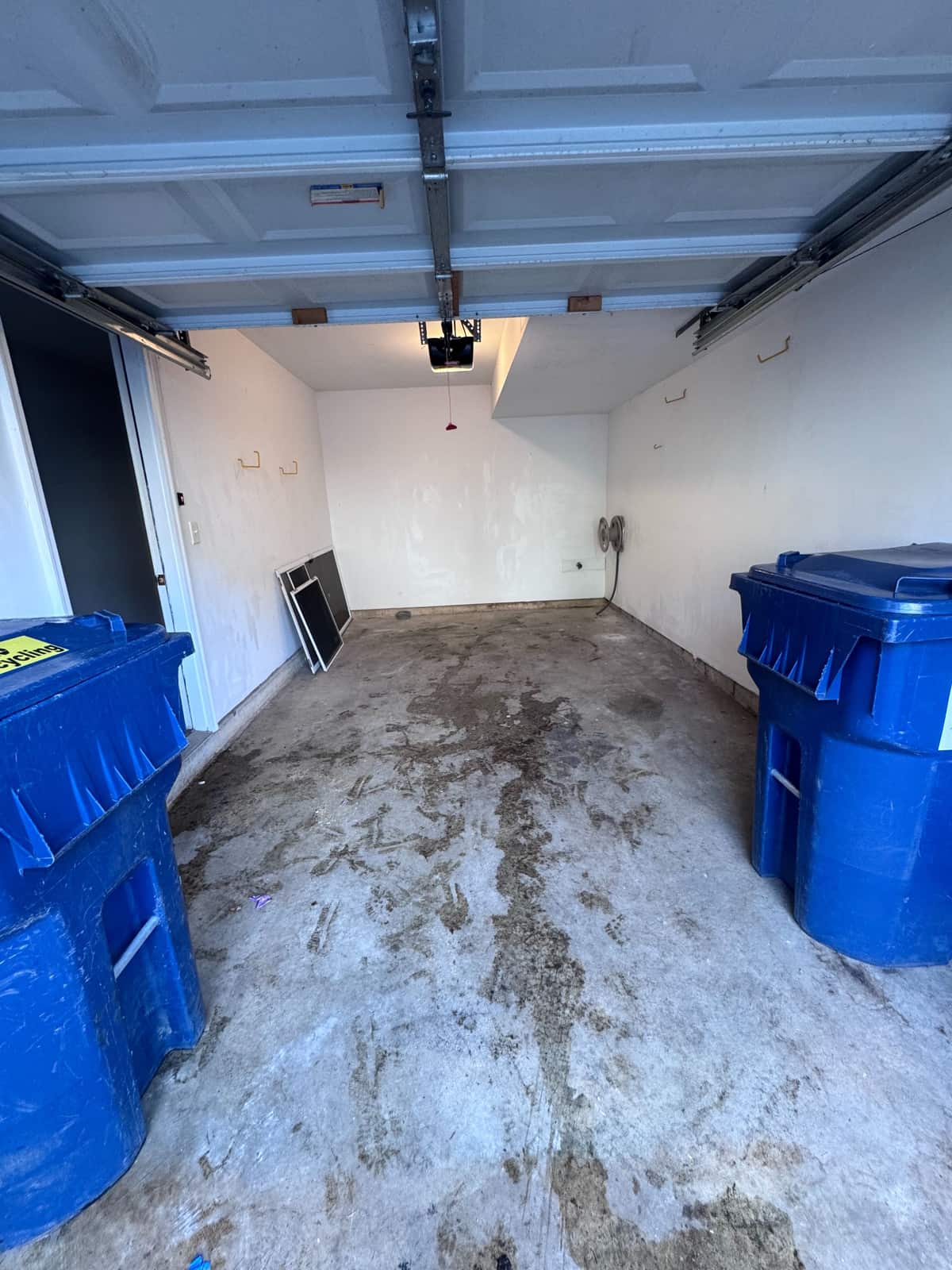 The same Bear garage emptied down to the floor, with only the two curbside carts left in place