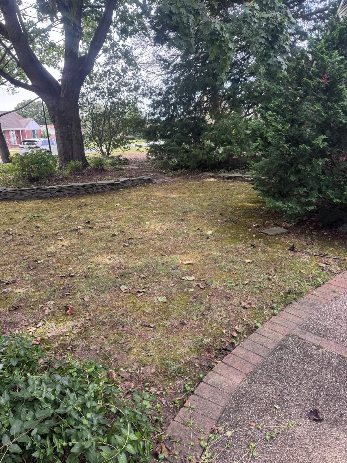 The same front lawn cleared, with nothing left beside the walkway